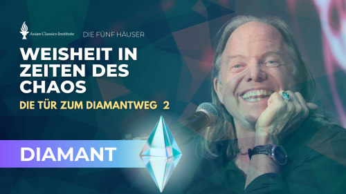 DIE FÜNF HÄUSER:  Weisheit in Zeiten des Chaos Diamant